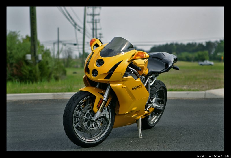Duc8.jpg