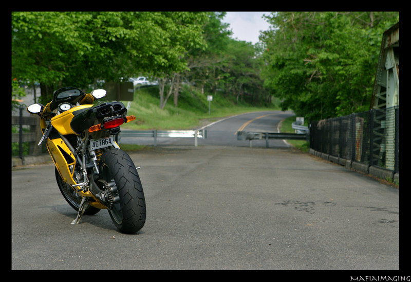 Duc9.jpg