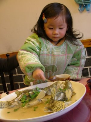 DSCF2314.JPG