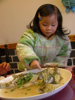 DSCF2315.JPG