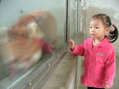 DSCF2166.JPG
