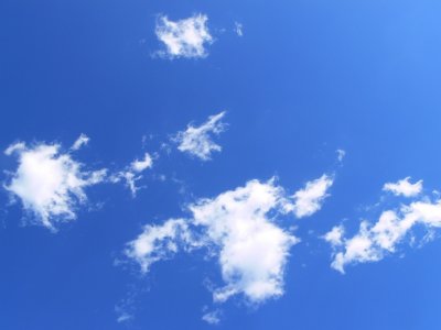 P1020554.JPG