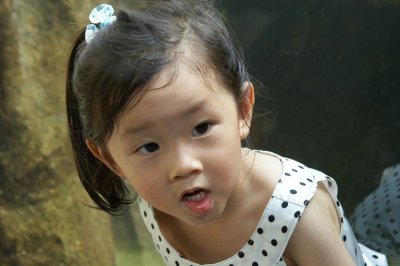 IMG_2962-1.jpg