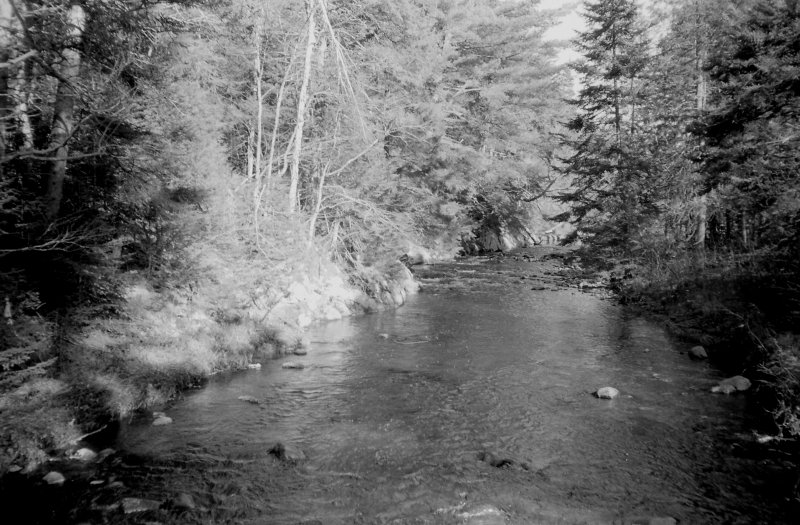 XA-0005015-08.jpg