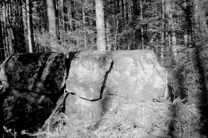 XA-0005015-21.jpg