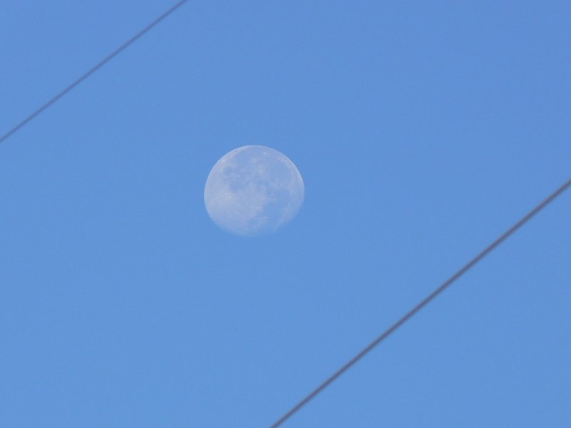 Morning Moon