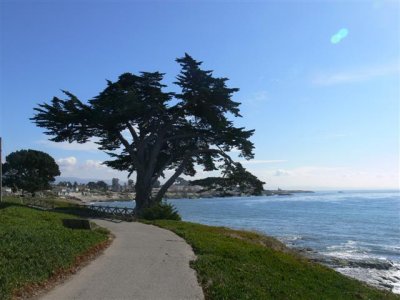 View Toward Lighthouse