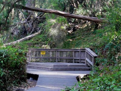 Monarch Viewing Area