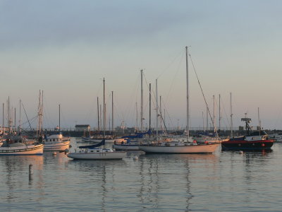 Harbor  at Monterey, Early Morning