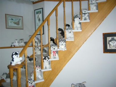 Husky Collection at Inn