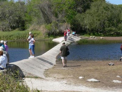 The Weir - Limpkin site