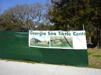 Sea Turtle Center