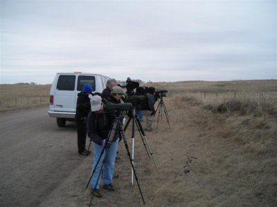 Looking for Prairie Chickens