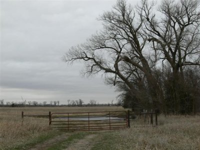 Prairie Scene