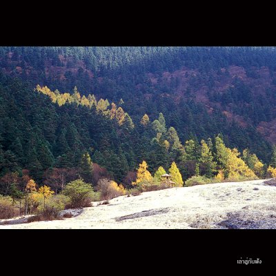huanglong21 RS copy.jpg
