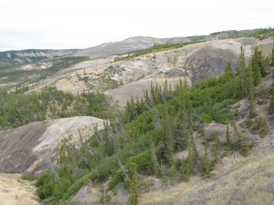 Sulfuric acid clay-ifying sed. rock?