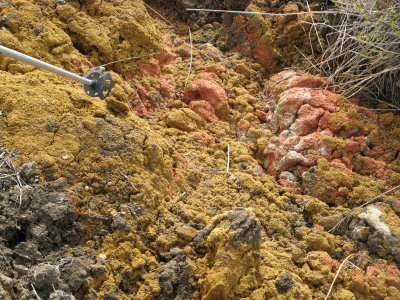 Fascinating geology.  Clay, not algae