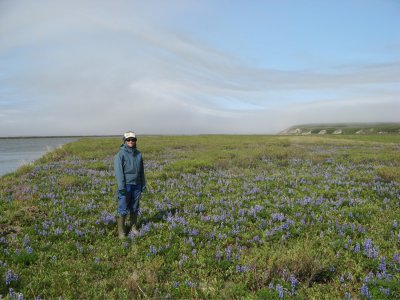 Lupine, wind (clouds) keeping us off water