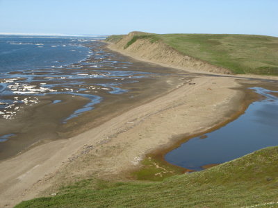 One of our great estuary camps, low tide