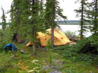 Back in the boreal forest, last camp