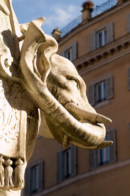 Bernini's elephant, detail