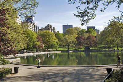 beautiful Central Park
