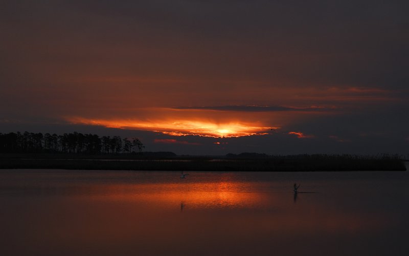 Sunrise over Blackwater NWR