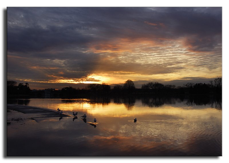 Tidal Pond