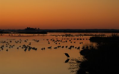 Sunrise over the Refuge