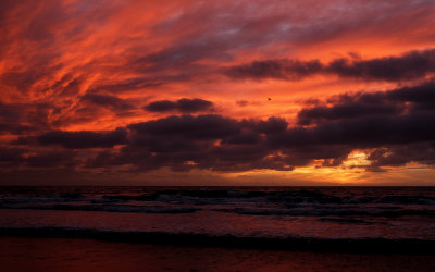 Sunset at Torrey Pines SP