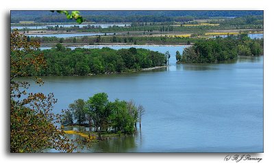 Tennessee NWR - Duck River Bottoms