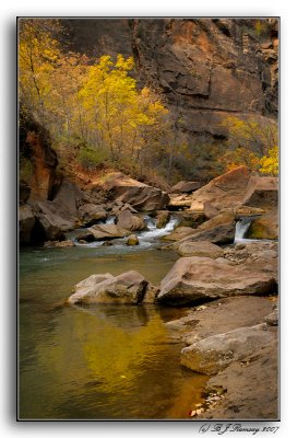 The Bottom of the Narrows @ Zion