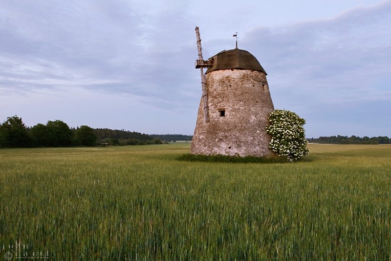 old windmill