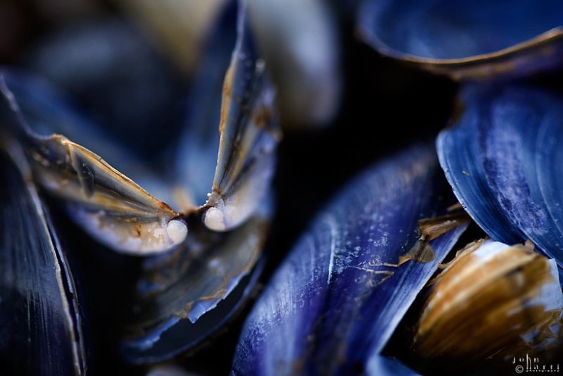 blue for you