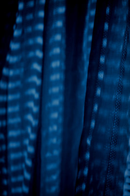 the blue curtain