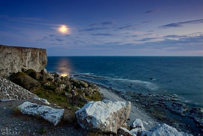 moonlight