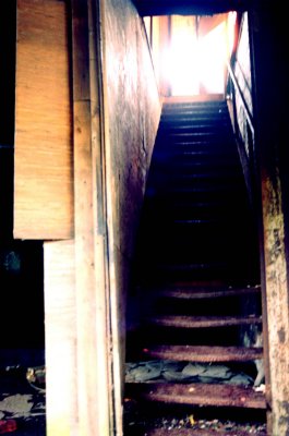 016_010_4.JPG