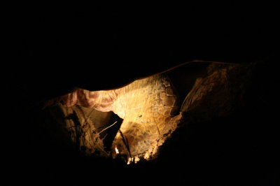 Digging out the egg chamber (2)