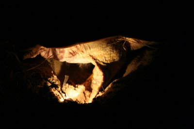 Digging the egg chamber (3)