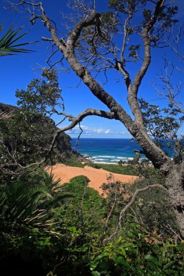 Across to the Beach