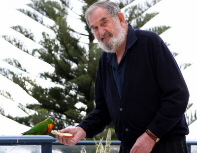 Lorikeets at Cronulla