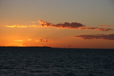 Whales Hervey Bay Queensland