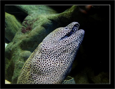 Capetown_021_ Aquarium.jpg