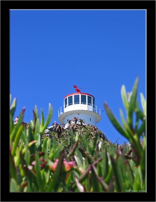 Cape of Good Hope_007.jpg