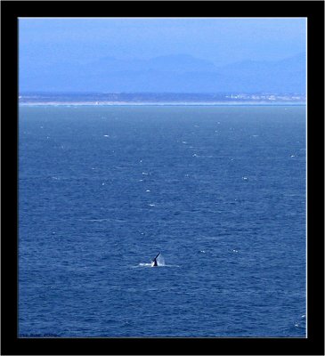 Fish Hoek _003.jpg