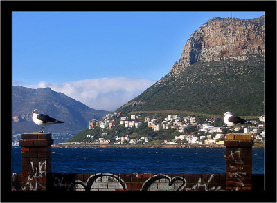 Fish Hoek _011.jpg