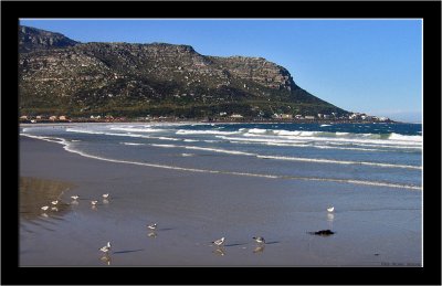 Fish Hoek _016.jpg