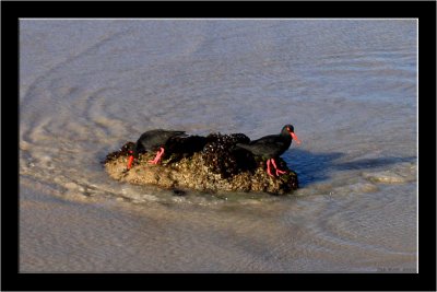 Fish Hoek _020.jpg