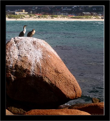 Fish Hoek _023.jpg