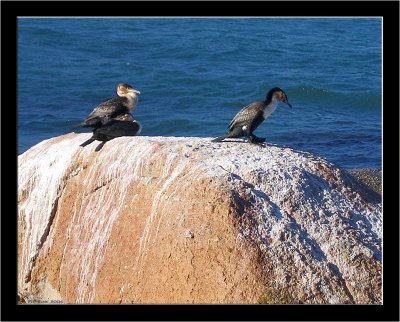Fish Hoek _024.jpg